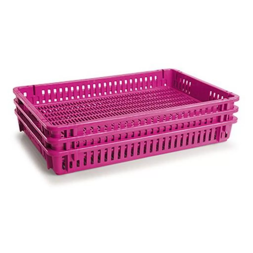 Plastic Crates | Fruit Drying Crate